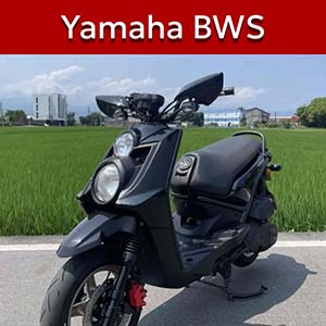 BWS